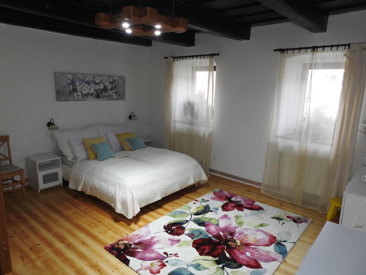Sofia Veternik C Apartment Kremnica Bagian luar foto