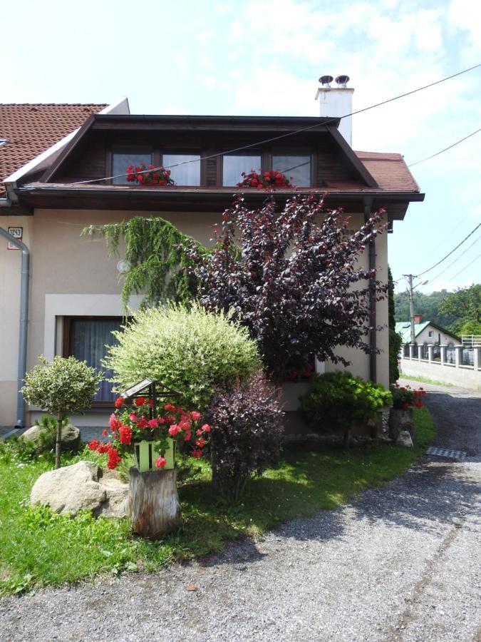 Sofia Veternik C Apartment Kremnica Bagian luar foto